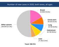 Mencapai 396 Ribu Kasus, 4 Jenis Kanker Ini Paling Banyak Diderita ...