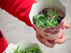 Unik! Gerai McD Ini Jual Es Krim Daun Ketumbar yang Menyengat Aromanya