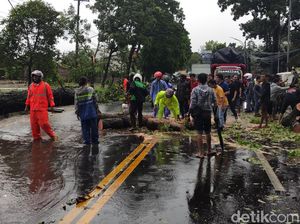 Jalur Malang-Blitar Masih Merambat Usai 5 Pohon Tumbang