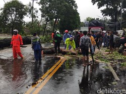 Jalur Malang-Blitar Masih Merambat Usai 5 Pohon Tumbang