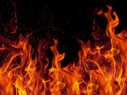 Demonstran Bakar Kediaman PM Sri Lanka!