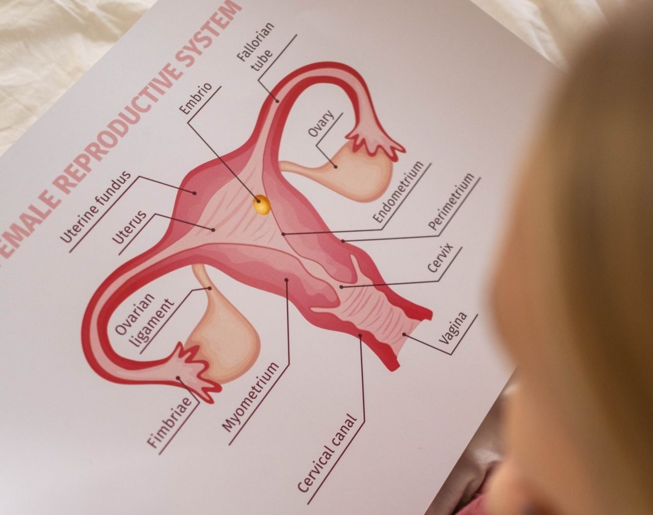 tipe penyakit kanker yang paling banyak terjadi di Indonesia