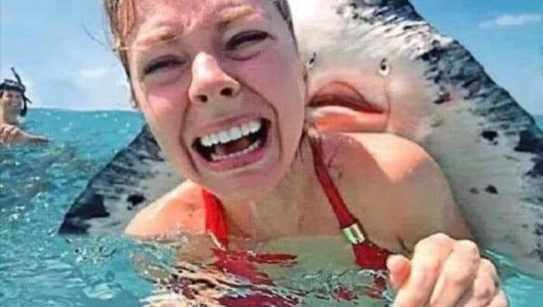 Kelakuan Absurd Manusia yang Bikin Ngakak, Kamu Gitu Juga?