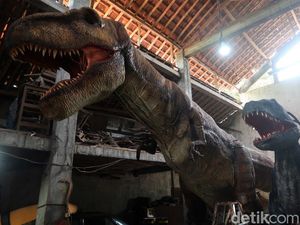Temuan Baru Sebut Ada 3 Jenis Spesies T-Rex, Ini Kata Peneliti Temuan Baru Sebut Ada 3 Jenis Spesies T-Rex, Ini Kata Peneliti
