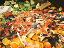 Indonesia Darurat Sampah Makanan Hampir 50 Juta Ton, Ini Akar Masalahnya