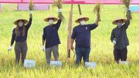 Panen Raya di Desa Ngadirejo Trenggalek