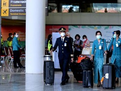 Garuda Indonesia Buka Lowongan Kerja Awak Cabin, Semua Jurusan Bisa Daftar