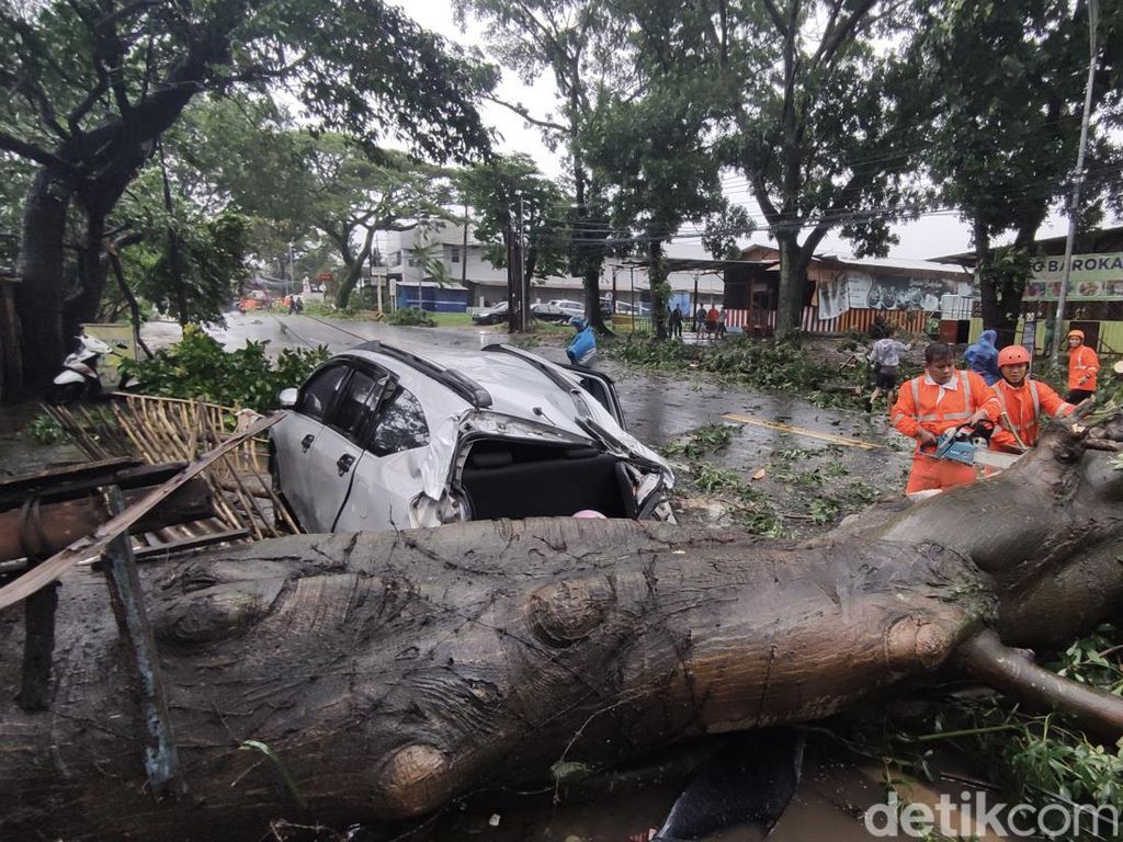 Dahsyatnya Hujan Angin Landa Malang, Pohon Tumbang Hingga Korban Tewas