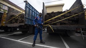 Polisi Bongkar Kasus Illegal Logging di Palembang