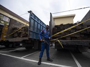 Polisi Bongkar Kasus Illegal Logging di Palembang