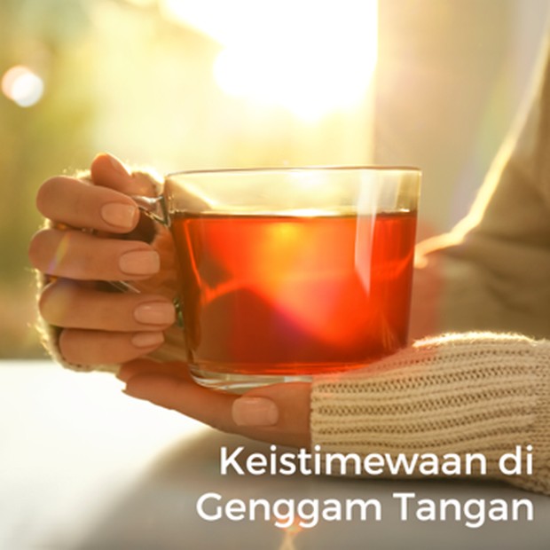 Teh rooibos adalah teh merah yang berasal dari Afrika Selatan.