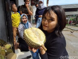 Sensasi Durian Trawas yang Wajib Dicoba Para Penikmat