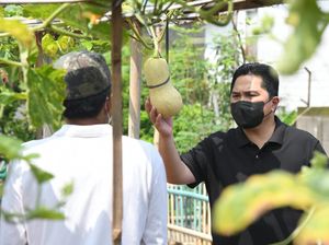 Gagas ET, Erick Thohir Ajak Warga Hasilkan Produk Tani Mandiri