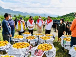 Kisah Jokowi dan Warga Karo: Dikirimi Jeruk, Disambut Indonesia Raya