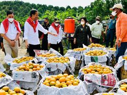 Kebahagiaan Warga Kampung Jeruk di Karo Saat Dikunjungi Jokowi