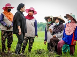 Puan Maharani: KDRT Bukan Aib, Perempuan Harus Bisa Membela