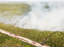4 Hektare Lahan Gambut di Riau Terbakar, Pemadaman Terkendala Angin Kencang
