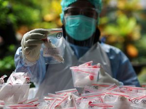 Diungkap! Ternyata Ini yang Bikin Omicron Lebih Ringan dari Delta