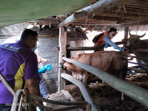 Kementan Terjunkan Tim Khusus untuk Atasi Anthrax di Gunung Kidul Kementan Terjunkan Tim Khusus untuk Atasi Anthrax di Gunung Kidul