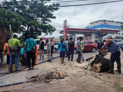 Angin Kencang, Pohon di Tangsel Tumbang dan Timpa 2 Mobil