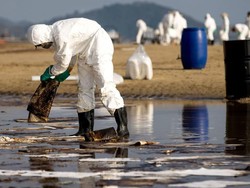 Genting! Wisata Populer Thailand Dibayangi Bahaya Tumpahan Minyak