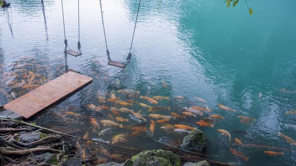 Potret 5 Wisata Alam Paling Top di Jawa Barat