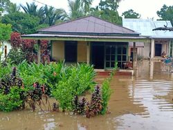 Titik Banjir di Sejumlah Wilayah Bengkulu Akibat Curah Hujan