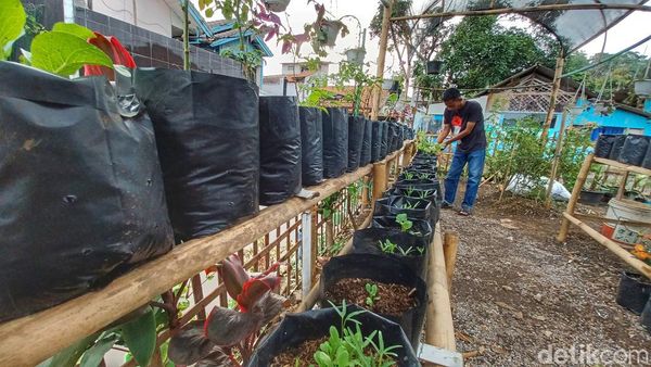 Giat Warga Cileunyi Bangun Kebun Bantu Ketahanan Masyarakat