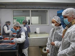 Rancak Bana! Bulgaria bakal Bangun Pabrik Rendang