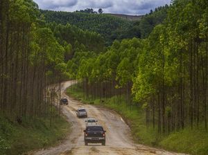 Usai Sopir Angkot, Kini Giliran Guru di Jakpus Gugat UU IKN ke MK Usai Sopir Angkot, Kini Giliran Guru di Jakpus Gugat UU IKN ke MK