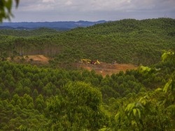 Ridwan Kamil Ingatkan Pembangunan IKN Nusantara Tak Boros Lahan