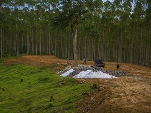 Jokowi Akan Berkemah di Titik Nol IKN, Lokasinya Terus Dipoles Jokowi Akan Berkemah di Titik Nol IKN, Lokasinya Terus Dipoles