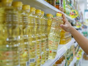 Bahan Baku Ada, Kok Minyak Goreng Langka?