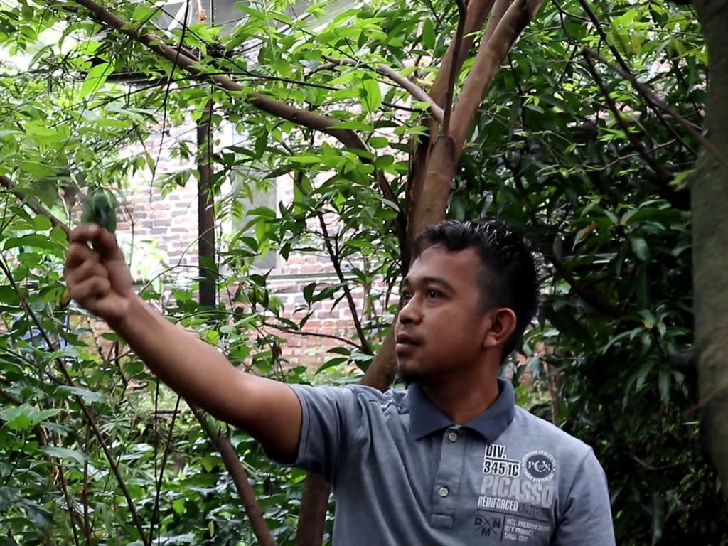 Ini Yudi Praselo, Sosok yang Populerkan Aviari di Indonesia