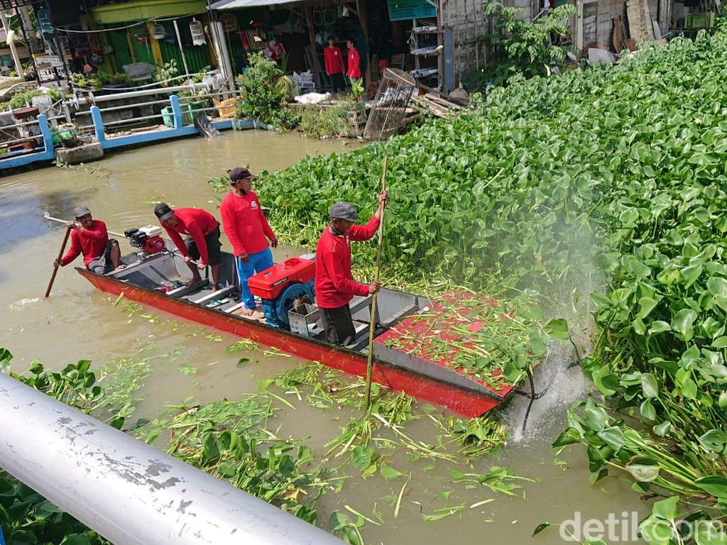 Kreatif, Warga Lamongan Buat Perahu Penghancur Eceng Gondok Penyebab Banjir