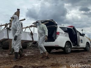 Potret Petugas Tandu Jenazah Covid-19 di Tanah Becek TPU Rorotan Potret Petugas Tandu Jenazah Covid-19 di Tanah Becek TPU Rorotan
