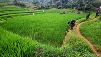 Lepas Penat di Akhir Pekan, Trekking Seru dengan Panorama Memukau