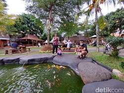 Ngopi dan Healing Ngasih Makan Ikan? Sini ke Tangsel