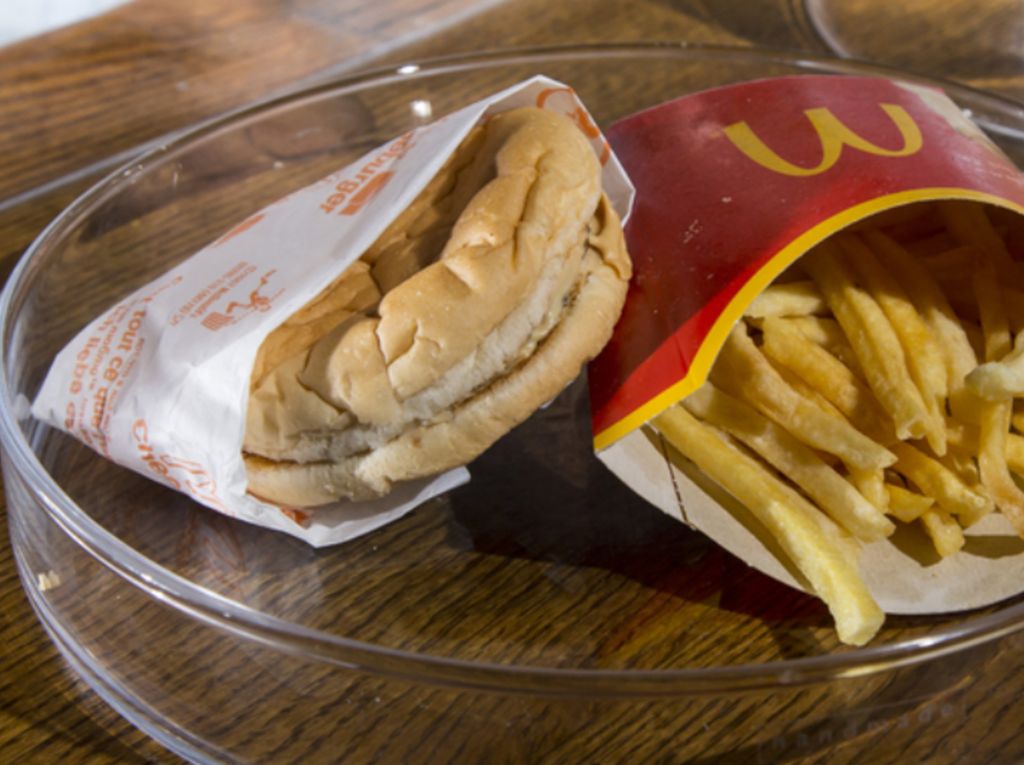 Disimpan 12 Tahun, Begini Tampilan Big Mac dan Kentang Goreng McDonalds