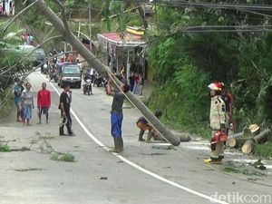 Pepohonan di Jalur Banjarnegara-Dieng Tumbang Disapu Angin, Listrik Padam