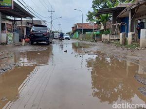 Viral Warga Bandung Tanam Pohon-Tebar Benih Lele di Tengah Jalan