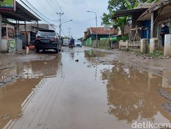 Viral Warga Bandung Tanam Pohon-Tebar Benih Lele di Tengah Jalan