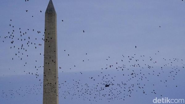 Mimpi Besar Kebebasan