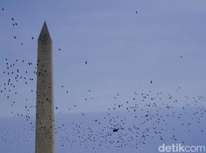 Mimpi Besar Kebebasan