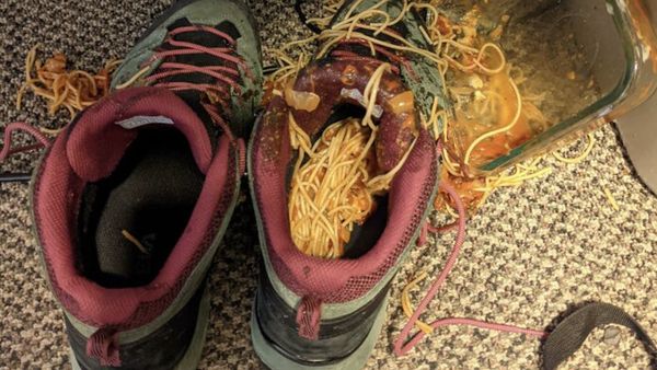 Momen Kesialan yang Tak Terduga, Miris dan Kocak