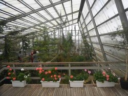 Rumah Atsiri Indonesia Tebarkan Wangi Rempah Berkat Gagasan Sukarno