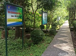 Sensasi Wisata Alam Sambil Edukasi di Senggigi, Bisa Buat Healing