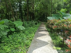 Ini Surga Burung di Lombok Barat, Banyak Dikunjungi Fotografer Dunia