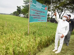 Dedi Mulyadi Minta Pemerintah Segera Kendalikan Harga Kedelai