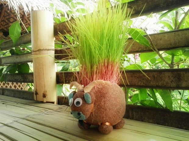 Ide kado valentine eco-friendly